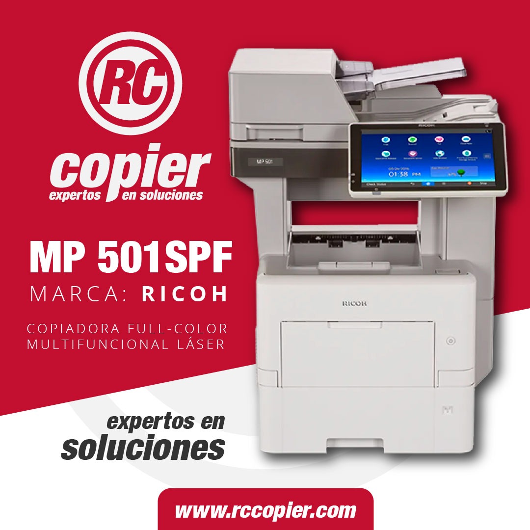 0000 00 plantilla base_501SPF
