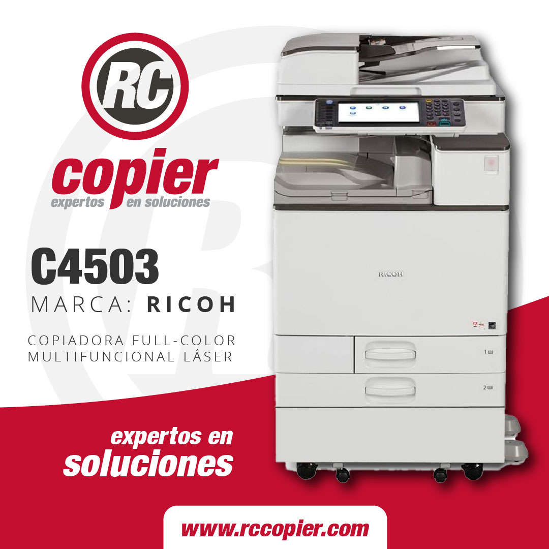 0000 00 plantilla base_C4503